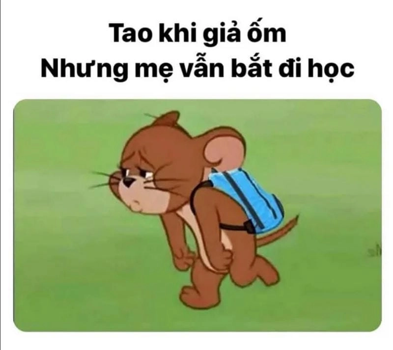 Tổng hợp hình ảnh sad Jerry meme