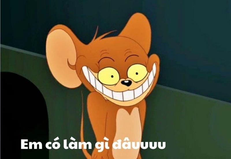 Săn những ảnh mới nhất của cosplay Tom and Jerry meme