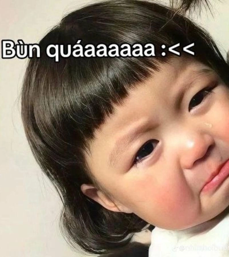 Cùng tìm hiểu lý do được “giang cư mận” yêu thích đến vậy