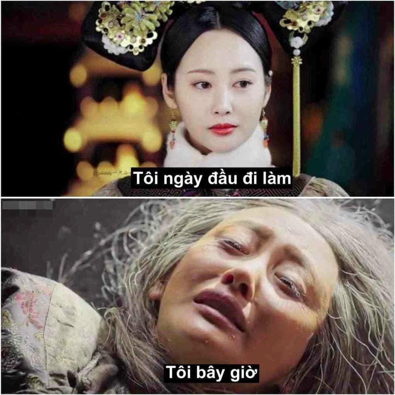 Cùng ngắm chuột khóc meme