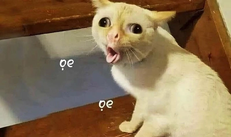 Sưu tầm những khoảnh khắc ảnh meme bựa