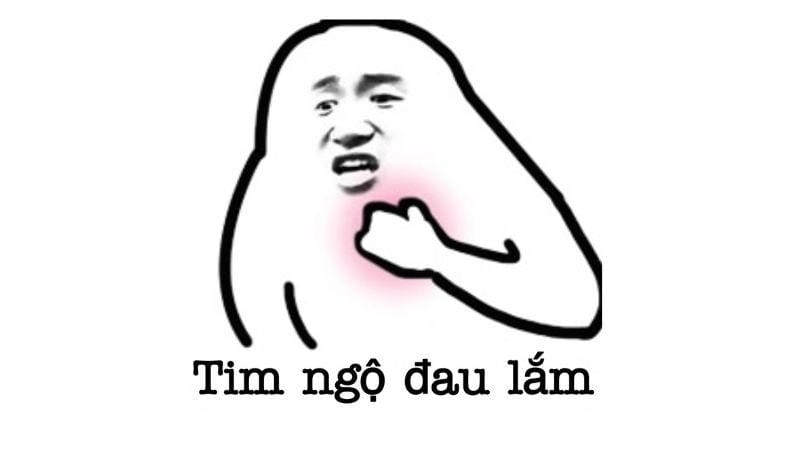 Chiêm ngưỡng vẻ đẹp ảnh chó meme bựa