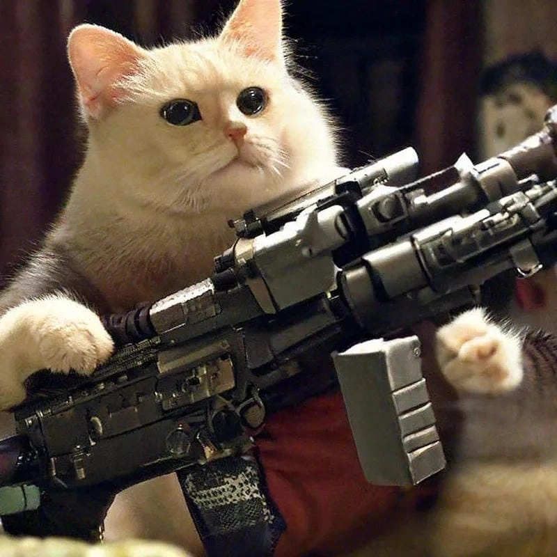 Cười sảng với những khoảnh khắc meme cầm súng hài hước