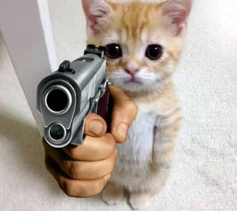 Tìm hiểu khái niệm meme cầm súng là gì