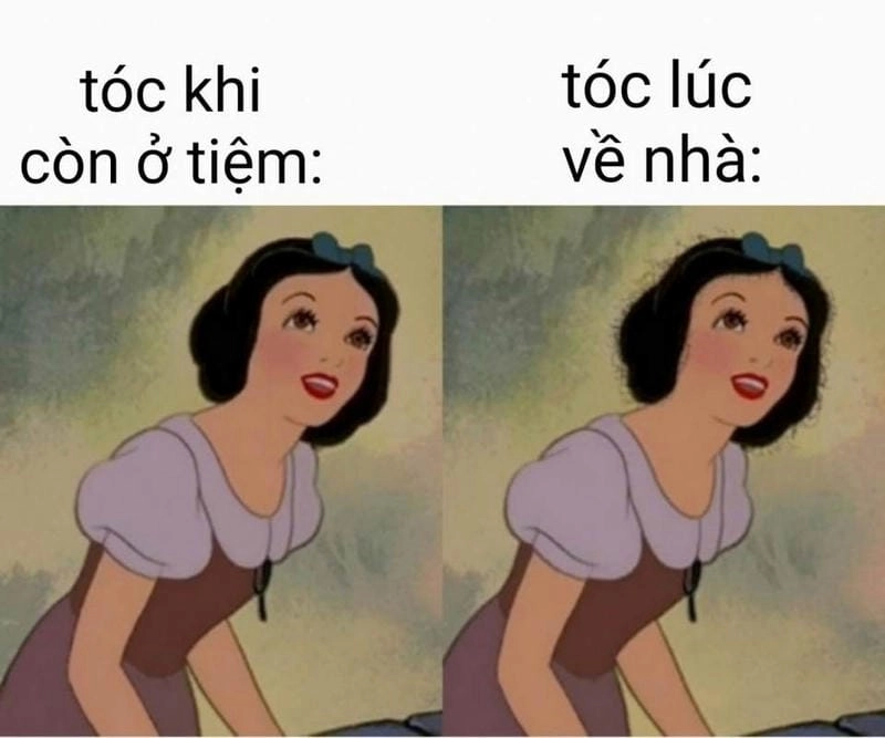 Sưu tầm những khoảnh khắc ảnh meme chê
