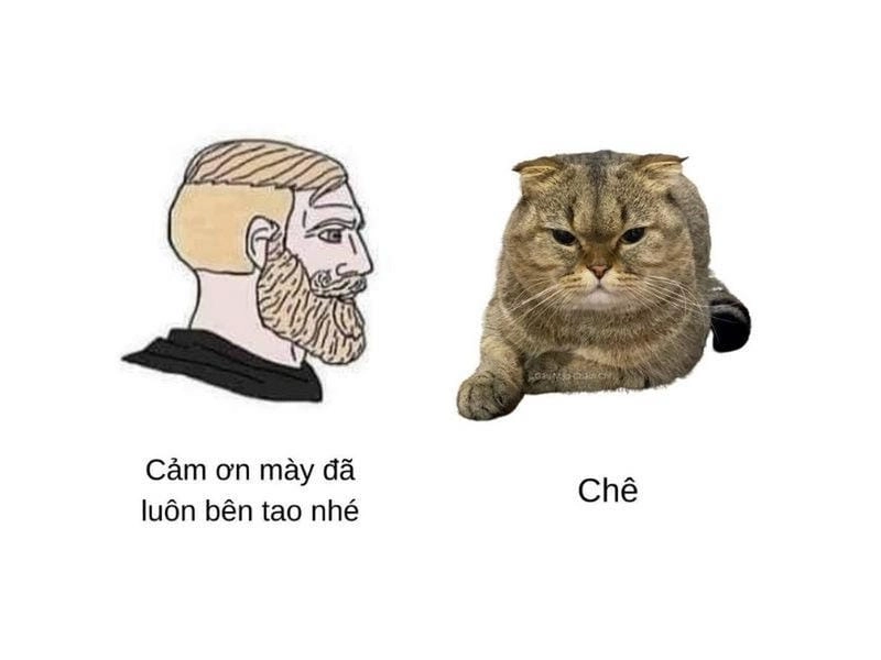 Gợi ý phong cách ảnh meme chê hốt lẹ