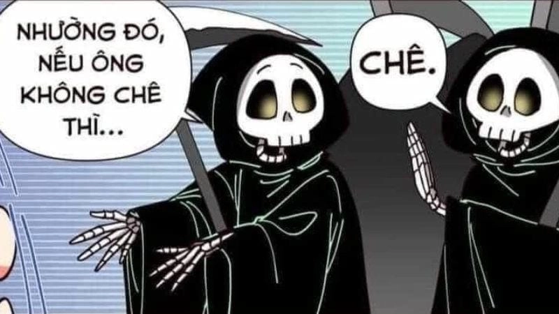 Những khoảnh khắc meme gấu trúc chê