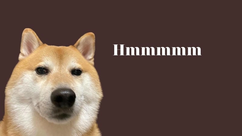 Cùng ngắm meme chó shiba cầm súng