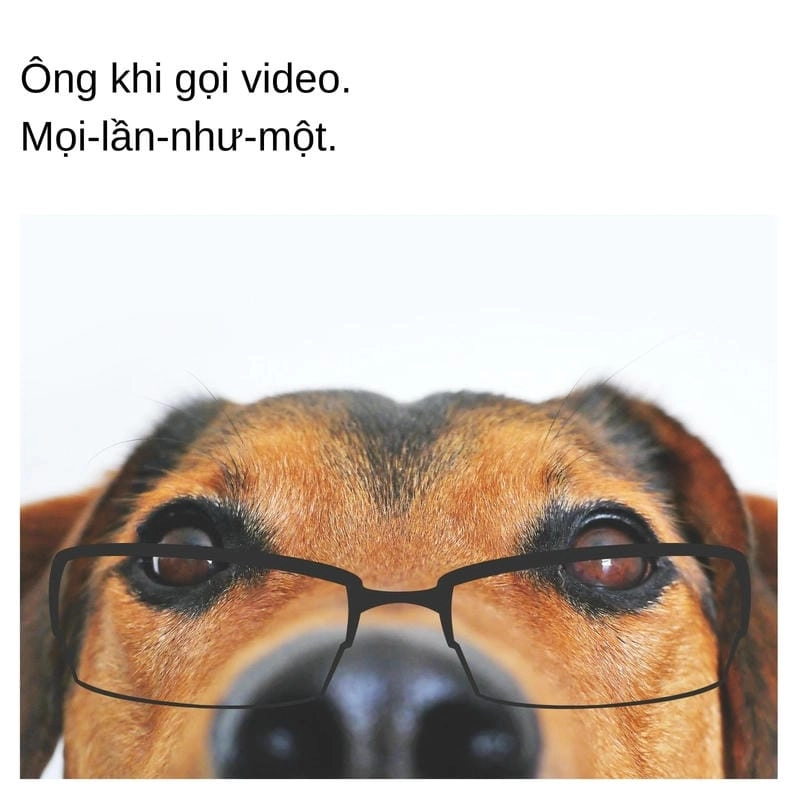 Cùng tìm hiểu lý do được “giang cư mận” yêu thích đến vậy
