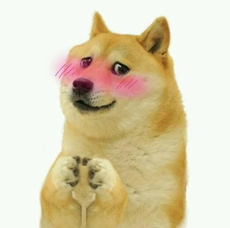 Đắm mình trong thế giới meme chó ngáo