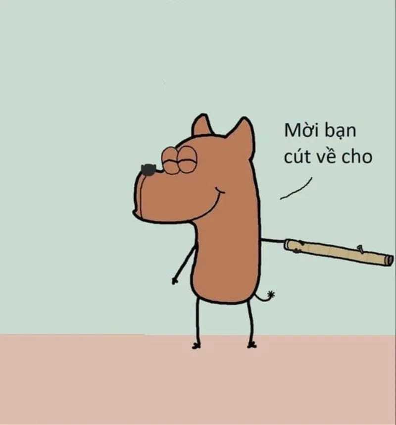 Những khoảnh khắc meme mỹ nữ cũng phải chửi thề