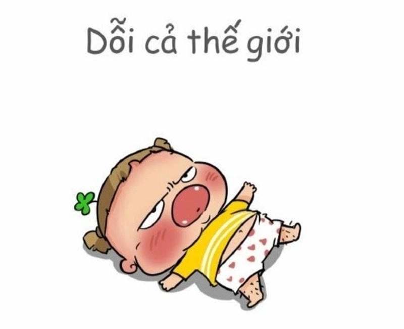 Chiêm ngưỡng vẻ đẹp meme gấu trúc dỗi