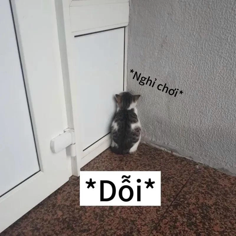 Tìm kiếm meme dỗi dễ thương