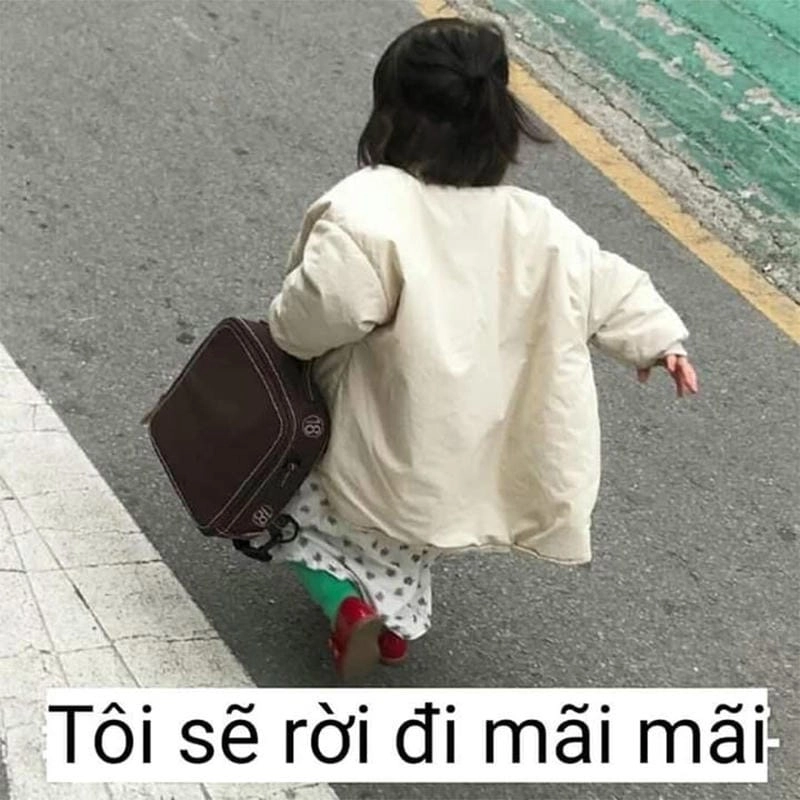 Đắm mình trong thế giới mèo meme dỗi