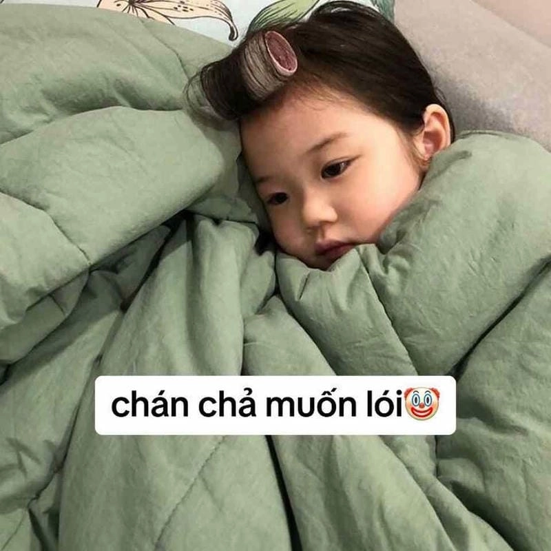 Sưu tầm những khoảnh khắc meme em bé hàn quốc