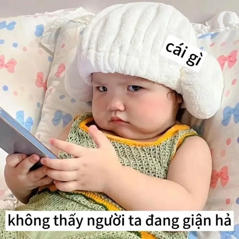 Chiêm ngưỡng vẻ đẹp meme em bé cute hài hước