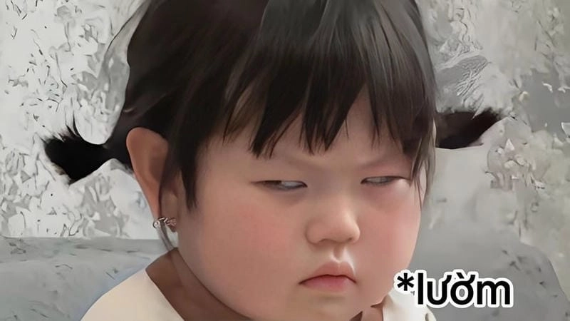 Gợi ý phong cách ảnh meme em bé