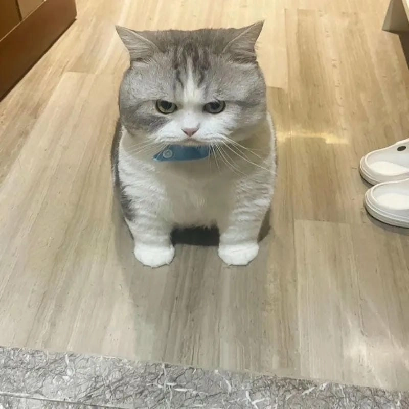 Sưu tầm những khoảnh khắc meme giận bá đạo