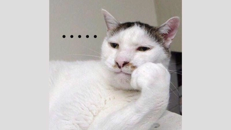 Cười sảng với những khoảnh khắc meme khó hiểu hài hước