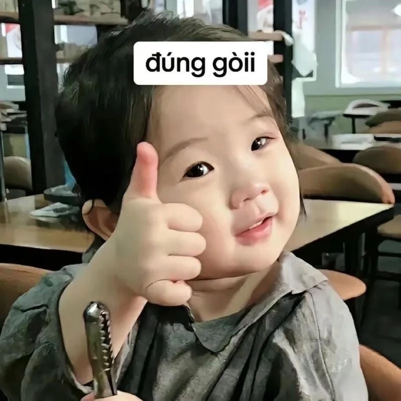 Chiêm ngưỡng vẻ đẹp meme like a boss