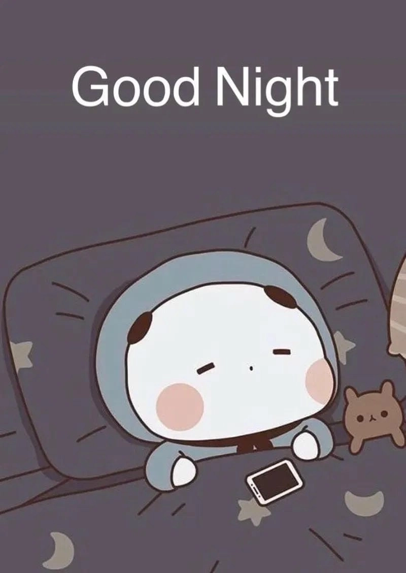 Chiêm ngưỡng vẻ đẹp ảnh meme ngủ ngon