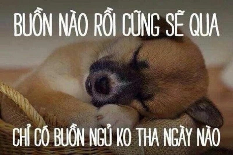 Gợi ý phong cách meme chúc người yêu ngủ ngon