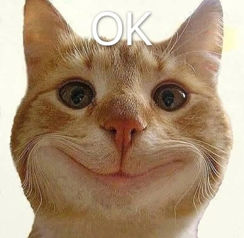 Sưu tầm những khoảnh khắc ảnh meme ok