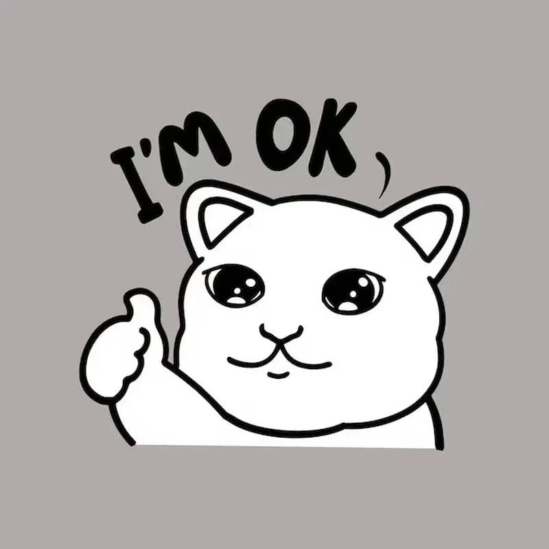 Săn những ảnh mới nhất của meme okay