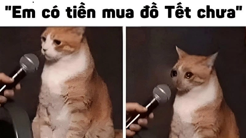 Đắm mình trong thế giới meme lì xì Tết