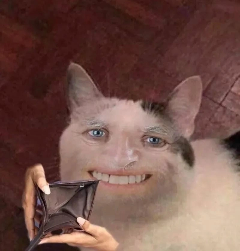 Đắm mình trong thế giới meme đầu tư tiền