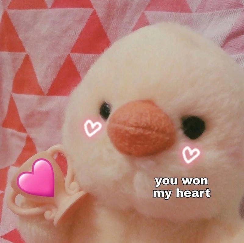 Gợi ý phong cách ảnh meme mèo tình yêu