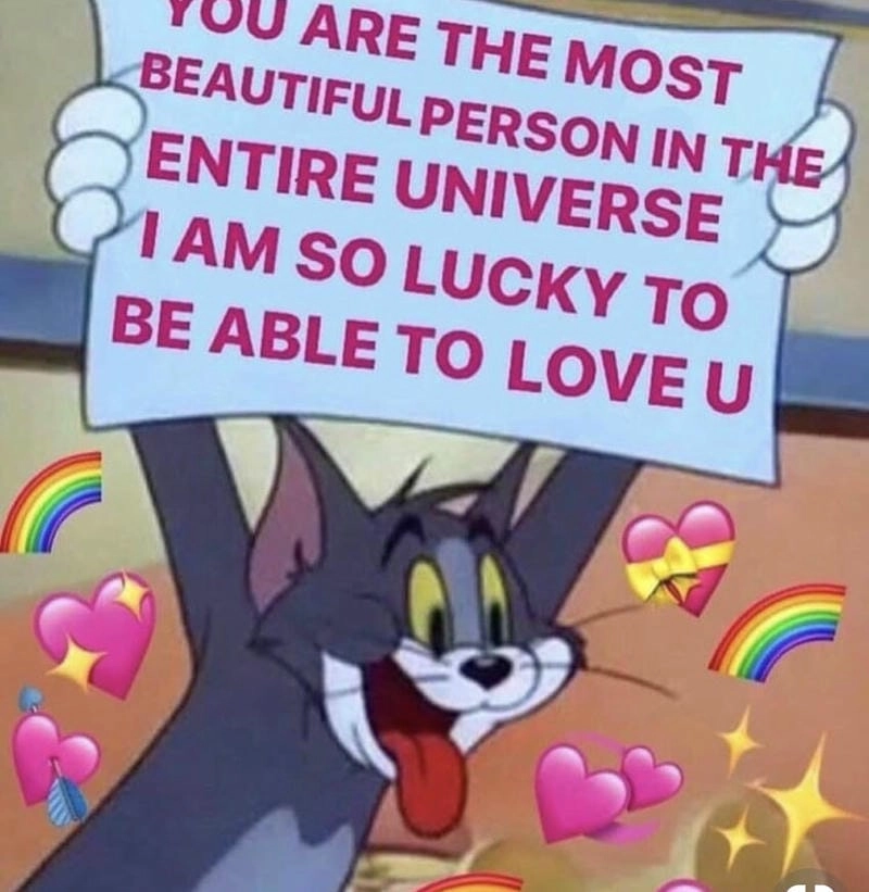 Săn những ảnh mới nhất của meme gấu trúc tình yêu