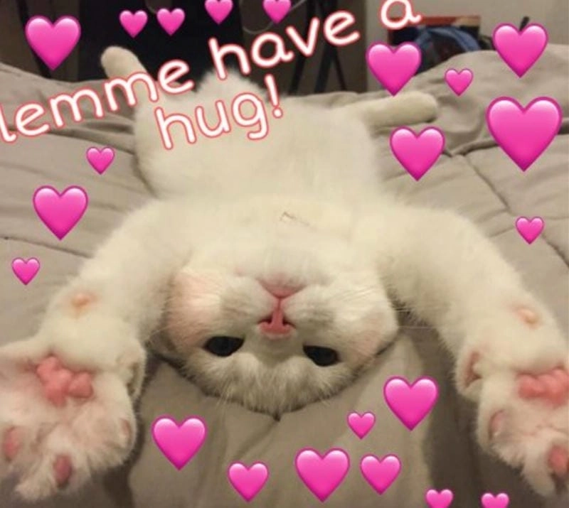 Gợi ý phong cách meme ôm tim