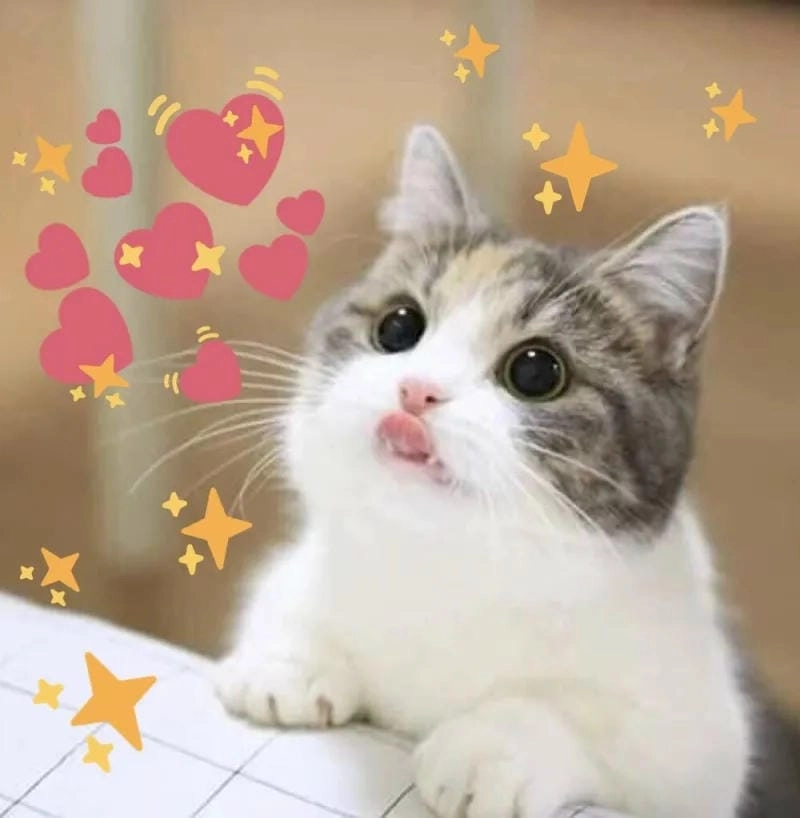 Cười sảng với loopy meme trái tim