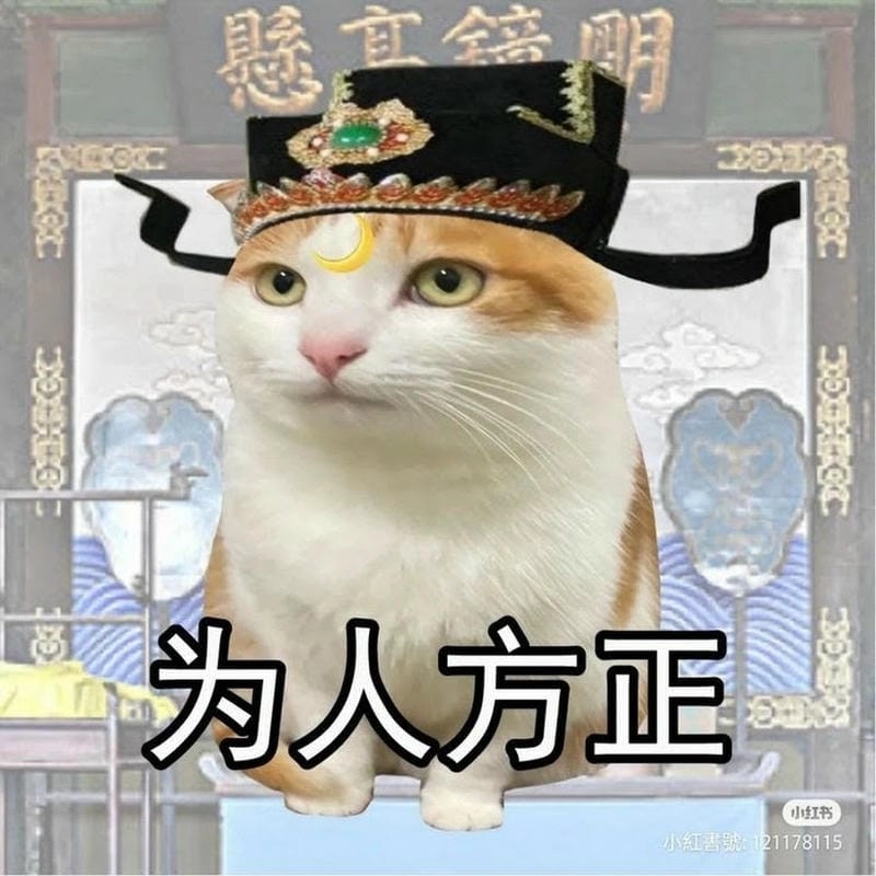 Sưu tầm những khoảnh khắc ảnh meme Trung Quốc