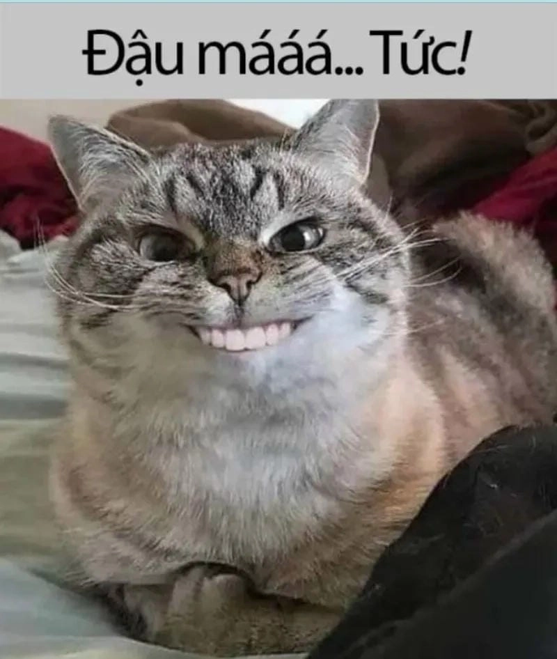 Tìm hiểu khái niệm meme tức giận là gì