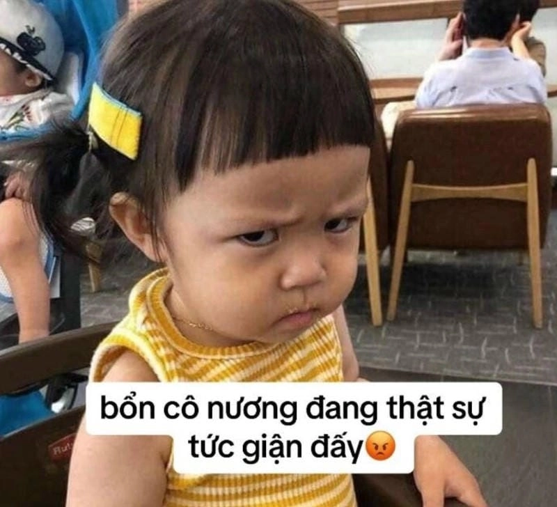 Cùng ngắm meme chó tức giận