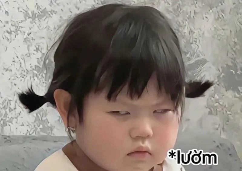 Những khoảnh khắc meme vịt tức giận