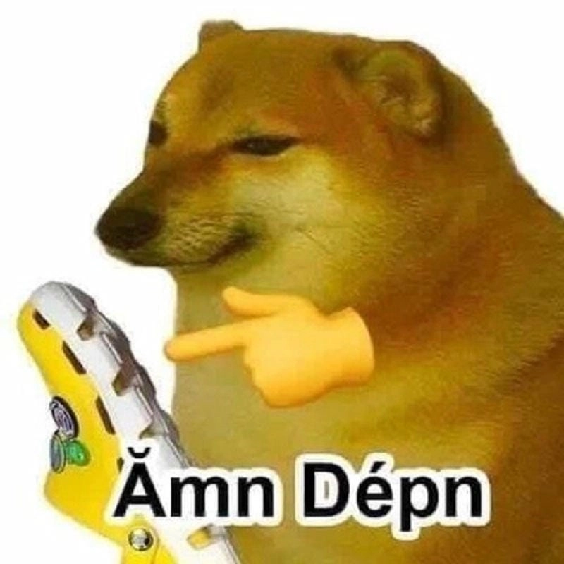 Sưu tầm những khoảnh khắc meme tức giận cute