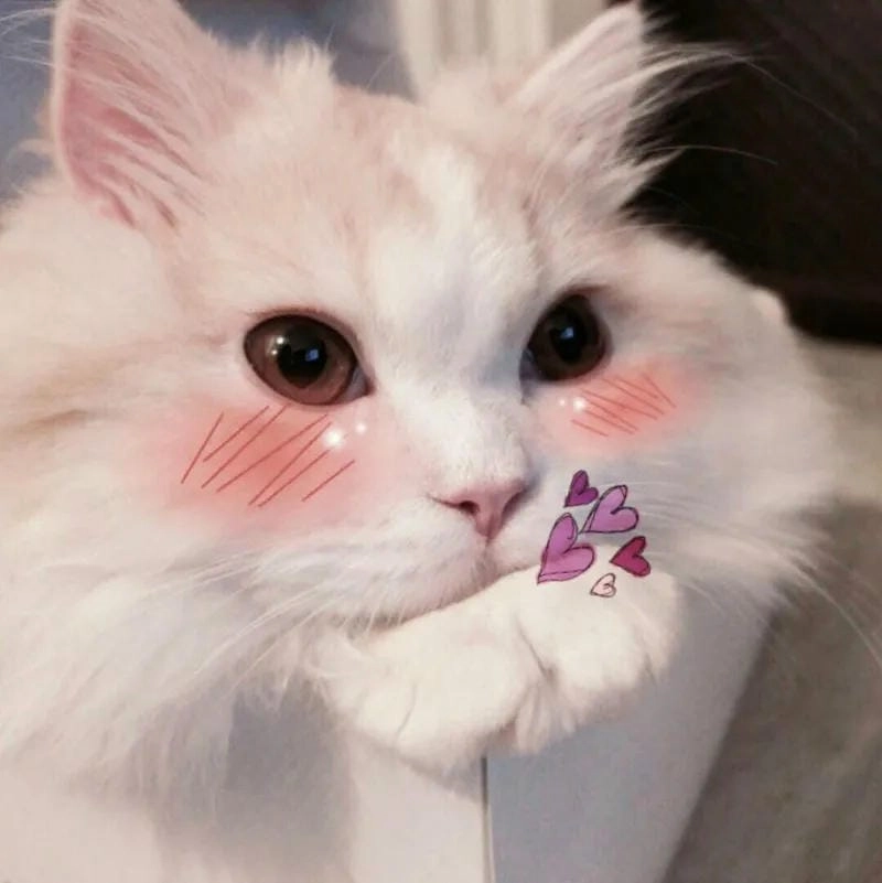 Cùng tìm hiểu lý do được “giang cư mận” yêu thích đến vậy