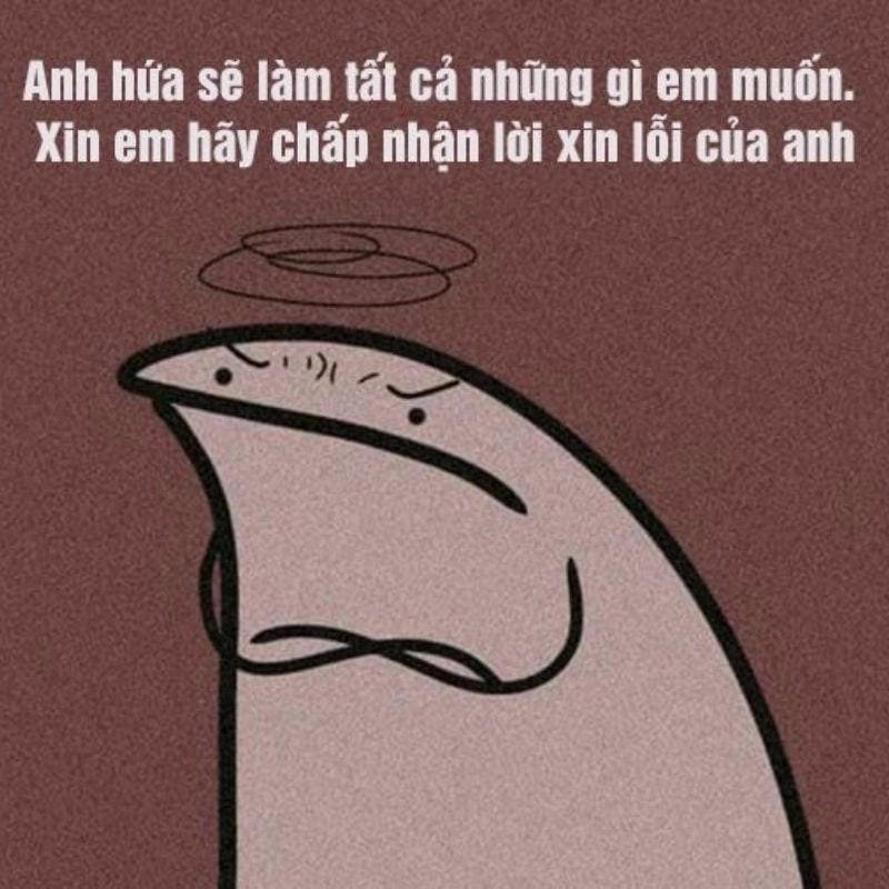 Sưu tầm những khoảnh khắc xin lỗi meme chế ảnh
