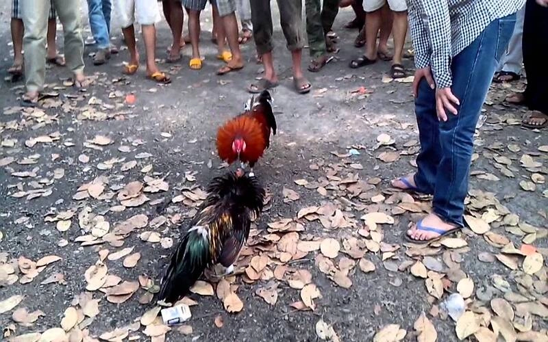 Giữ tâm lý ổn định và kiểm soát cảm xúc
