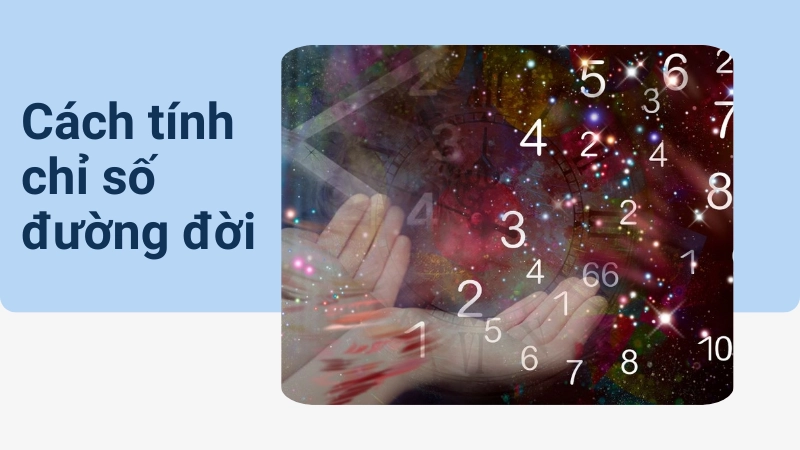 Cách tính chỉ số đường đời chuẩn nhất