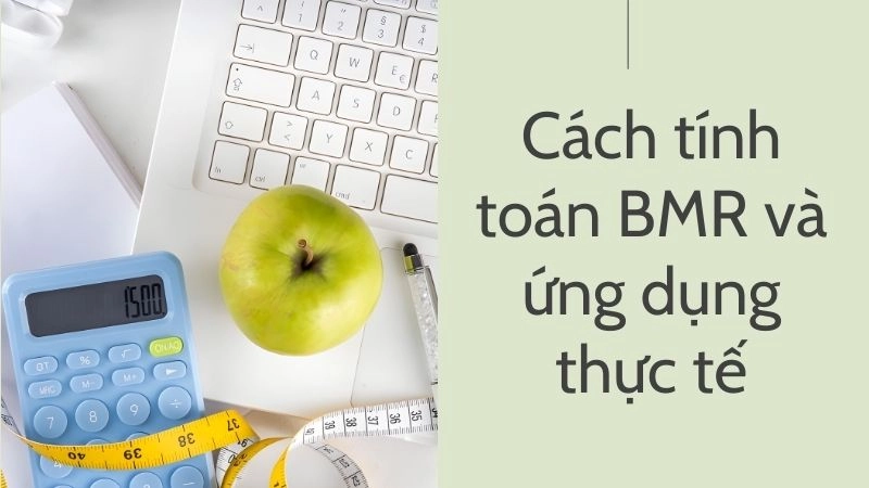 Cách tính toán BMR và ứng dụng thực tế