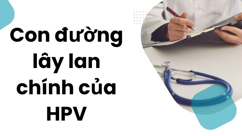 Con đường lây lan chính của HPV