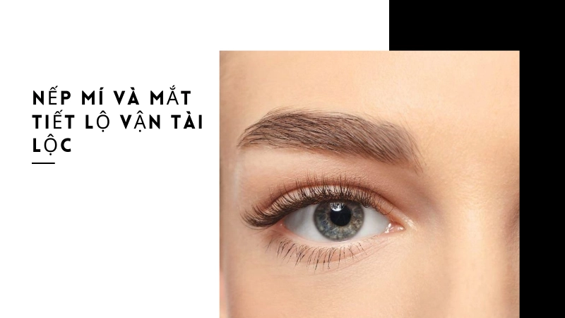 Nếp mí và góc mắt tiết lộ vận mệnh