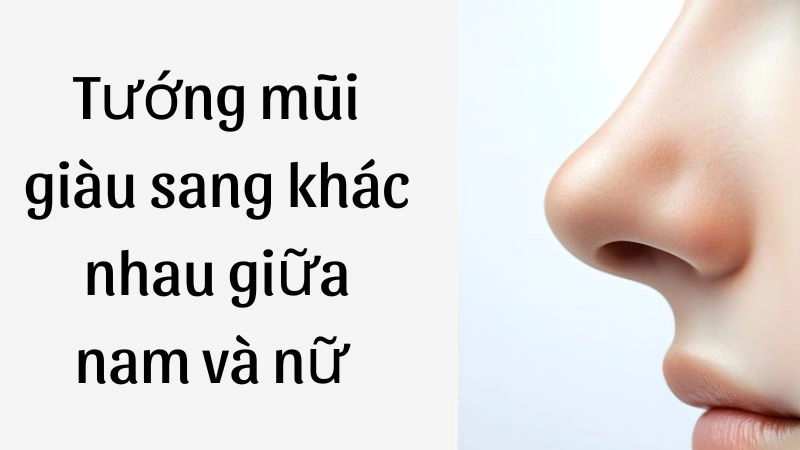Tướng mũi giàu sang khác nhau giữa nam và nữ 