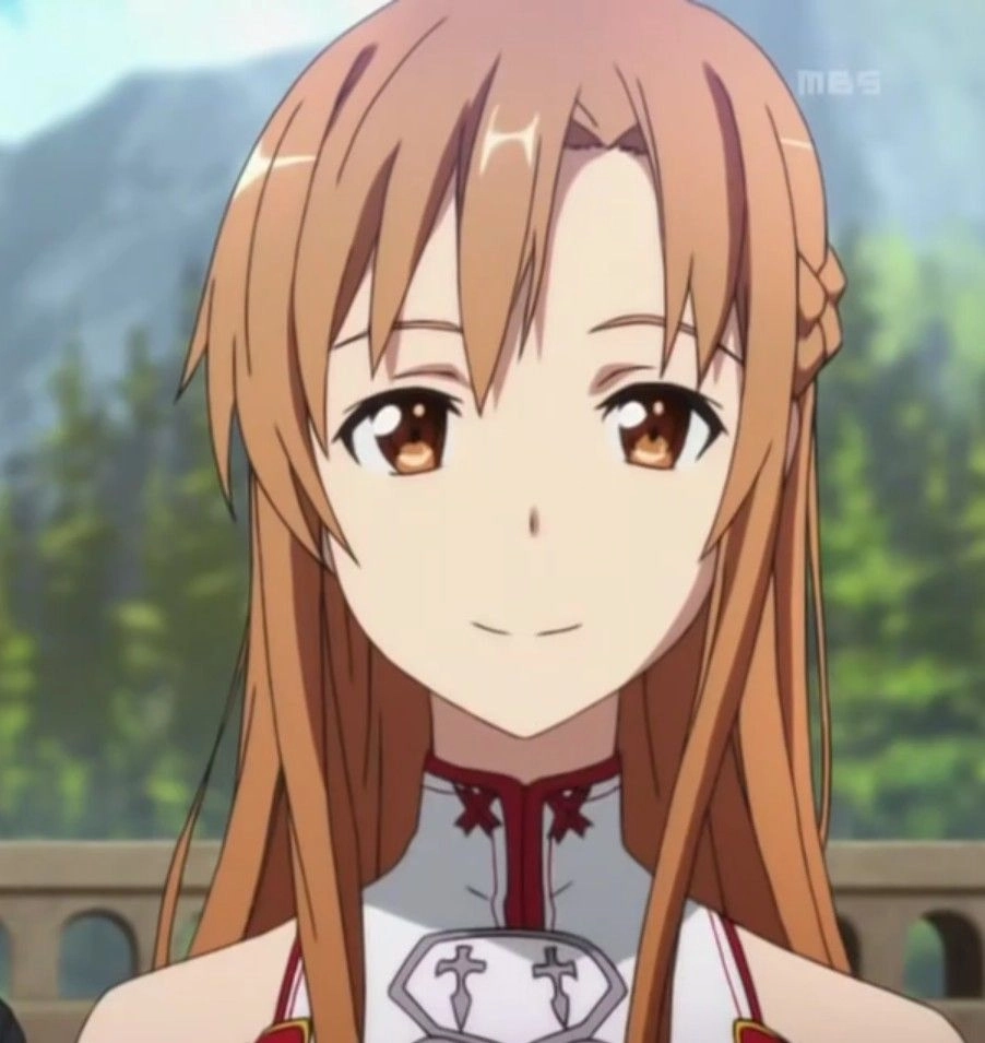 Asuna Kirito là cặp đôi anime nổi tiếng.