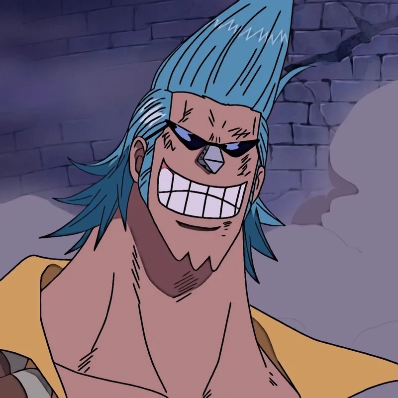 Franky One Piece art mang đậm phong cách biển cả.