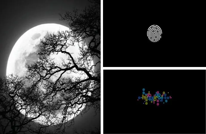 Bộ sưu tập hình nền đen huyền bí cuốn hút mọi ánh nhìn